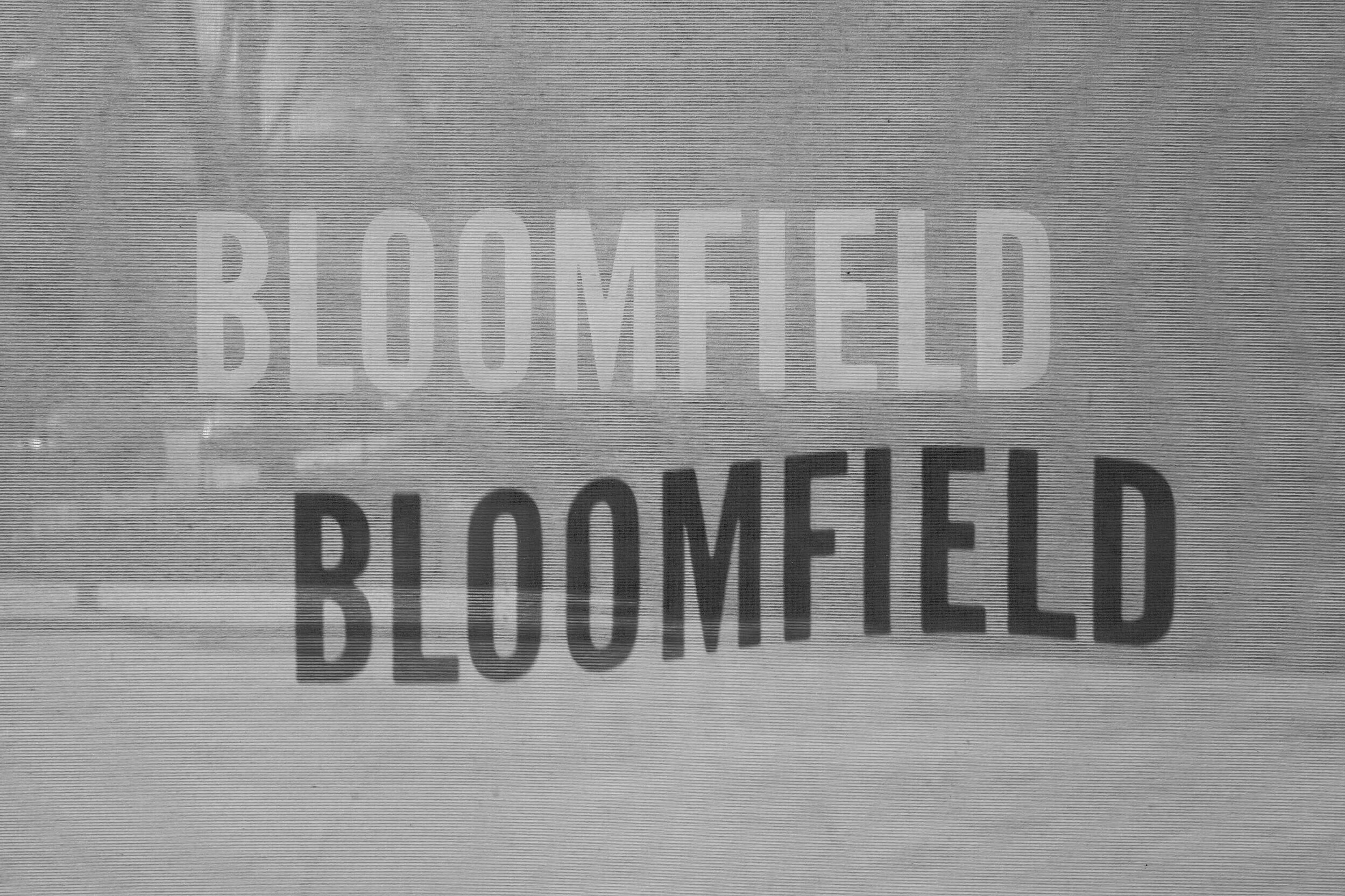 Bloomfield photo 8