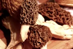 Chapeau les Bois! - Mycobrasserie / Traiteur & Brasseur photo 2