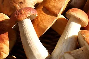 Chapeau les Bois! - Mycobrasserie / Traiteur & Brasseur photo 7