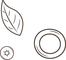 Elmazaj Lebanese Restaurant