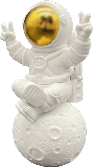 Le Cosmos photo 1