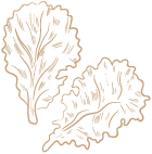 Restaurant Boustan photo 6