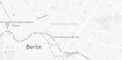 Shanghai Wonton Noodle